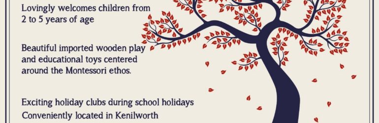 MONTESSORI TODDLER DIRECTRESS